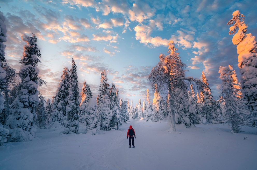 4. Die Weite und Einsamkeit Lapplands erkunden und genießen – im Sommer und Winter