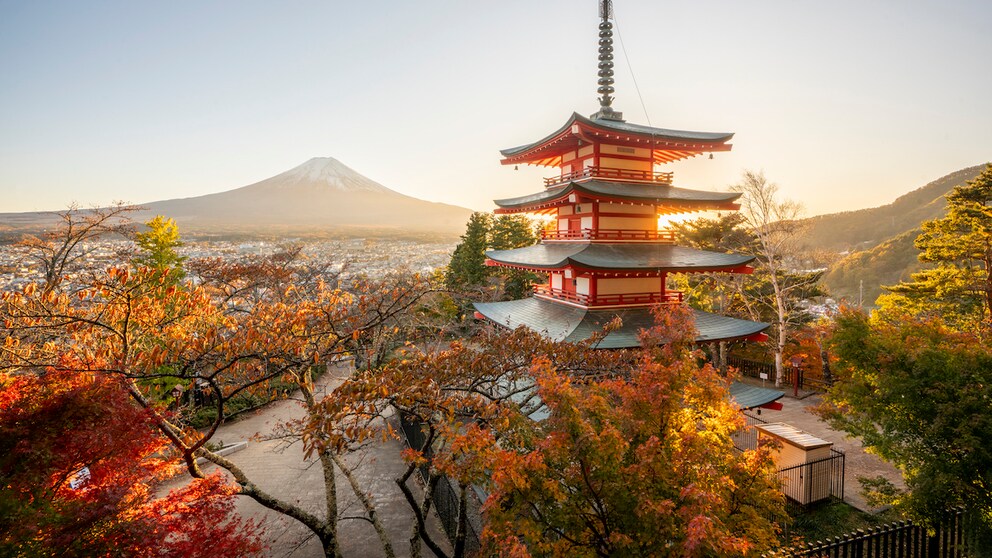 Japan ist aktuell eins der beliebtesten Reiseziele überhaupt