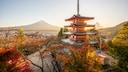Japan ist aktuell eins der beliebtesten Reiseziele überhaupt