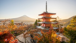 Japan ist aktuell eins der beliebtesten Reiseziele überhaupt