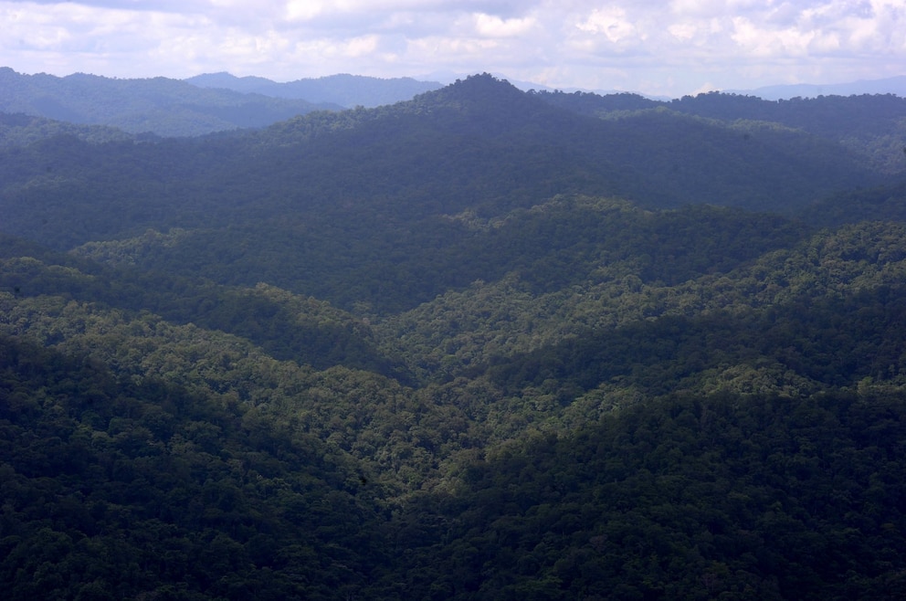9. Reserva de la biosfera de Río Plátano – in dem Landschaftsschutzgebiet befindet sich einer der letzten tropischen Regenwälder Zentralamerikas. Seit 1969 steht das Gebiet unter nationalem Schutz, seit 1982 ist es Teil des UNESCO-Weltnaturerbes