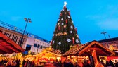 höchster Weihnachtsbaum Deutschlands