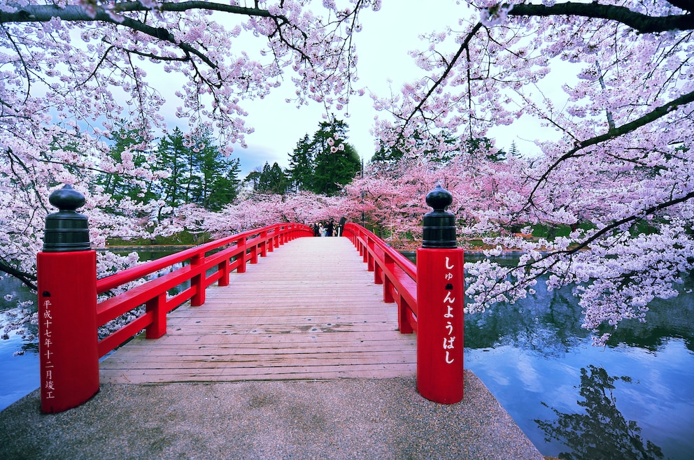 1. Zum Frühlingsanfang nach Japan reisen und die malerischen Kirschblütenlandschaften genießen