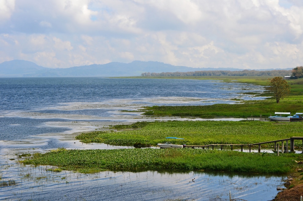 3. Lago de Yojoa – der größte Binnensee des Landes befindet sich in dessen westlichen Zentrum und beheimatet zahlreiche Fische und Vögel