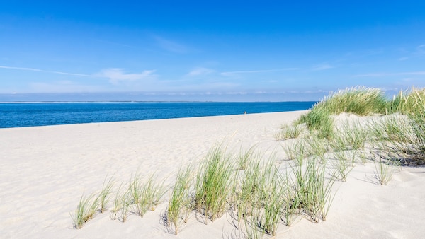 ltur Nordsee Urlaubsangebote