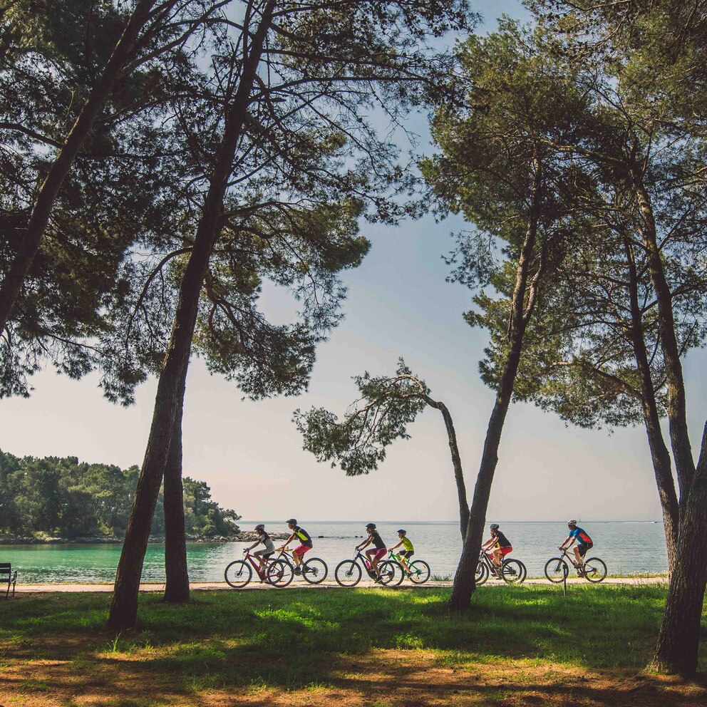 Eine wunderschöne Landschaft mit Steineichen- und Kiefernwäldern: das Küstengebiet zwischen Rovinj und dem Limski-Kanal, die Rovinjer Inseln sowie das gesamte Rovinjer Hinterland 