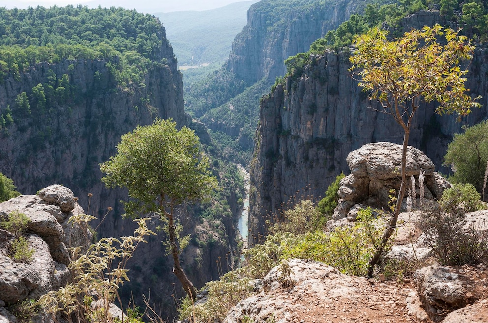 Köprülü-Kanyon-Nationalpark