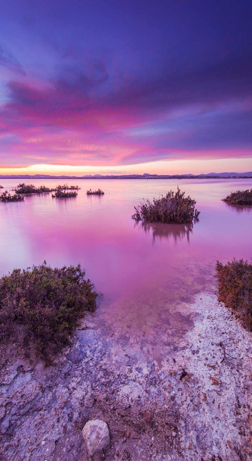 Laguna de Torrevieja