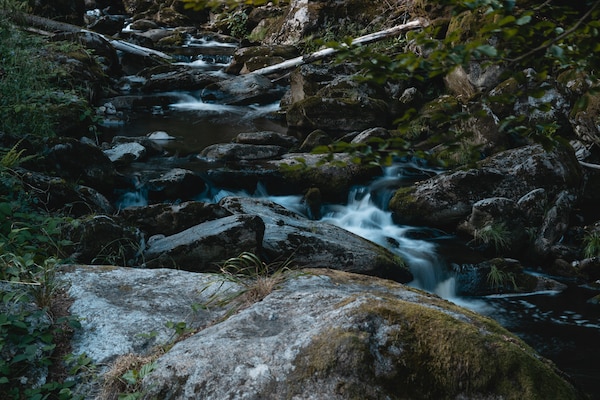 dertour Bayerischer Wald Urlaubsangebot