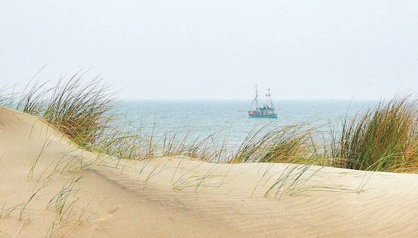 fti Nordsee Urlaubsangebot