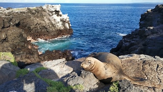 Galápagos-Inseln