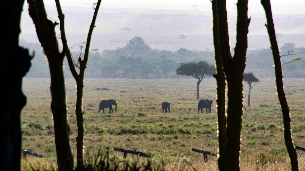 Einreiseregeln Kenia ETA Visum