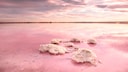 Laguna de Torrevieja
