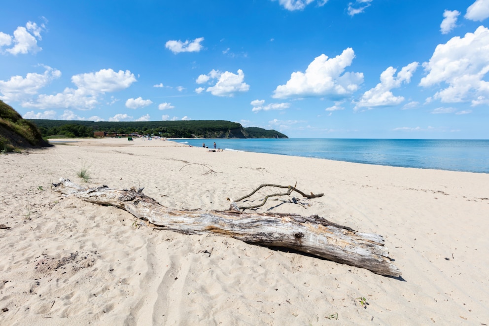 Irakli Beach mit Holz und Wasser