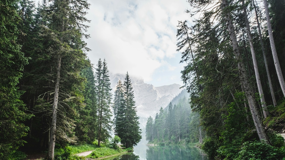 Der Bayerische Wald –TRAVELBOOK zeigt Ihnen, wo Sie am schönsten entspannen können