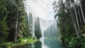 Der Bayerische Wald –TRAVELBOOK zeigt Ihnen, wo Sie am schönsten entspannen können