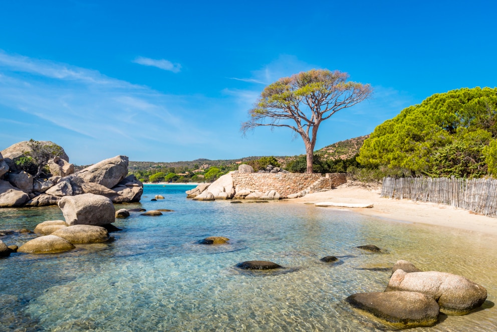 Wasser Strand und Bäume