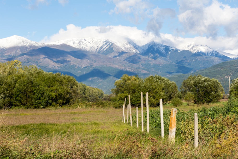 Wiesen, Berge, Schnee