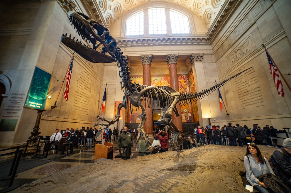 American Museum of Natural History