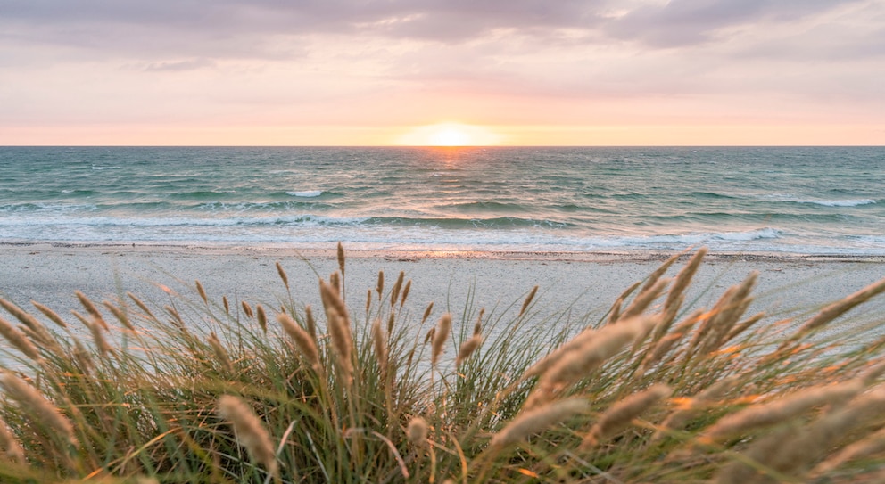 Der Strand von Egmond aan Zee ist für besonders klares Wasser bekannt.