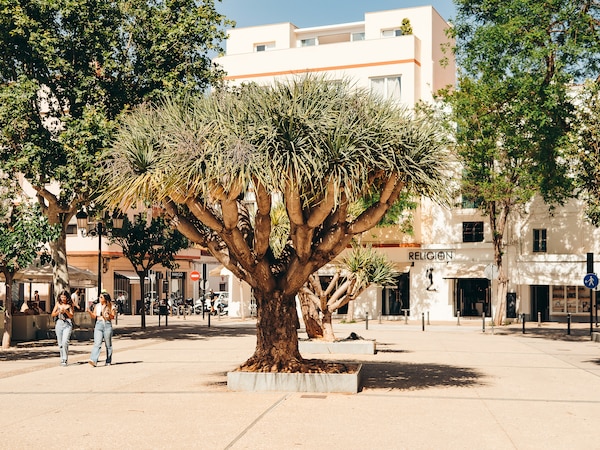 ibiza urlaubsangebote