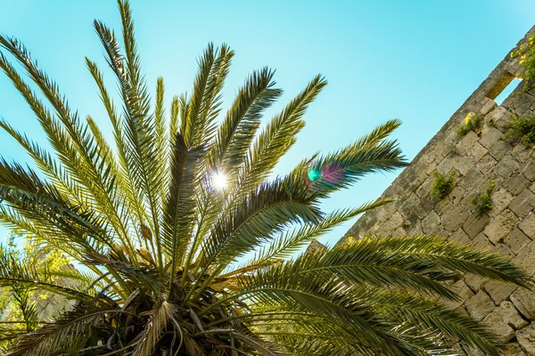 rhodos, urlaubsangebote