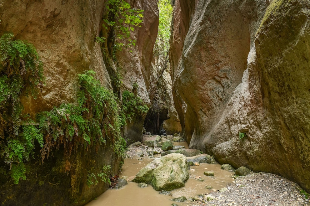 Avakas-Schlucht