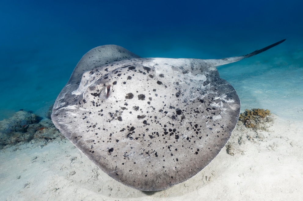 Mu-Ko-Similan-Nationalpark