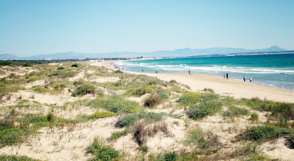 Playa de El Pinet