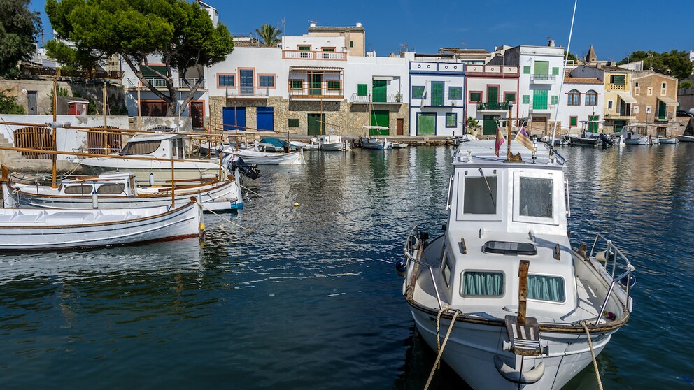 Taubenplage Portocolom