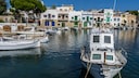 Taubenplage Portocolom