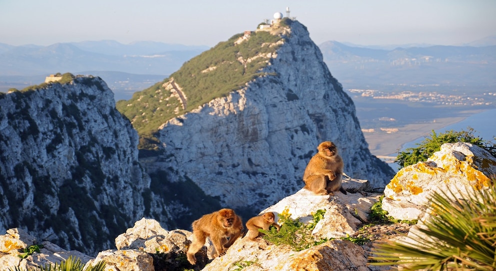 Gibraltar