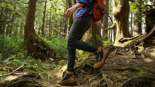 Maggi Wald