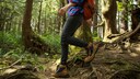 Maggi Wald