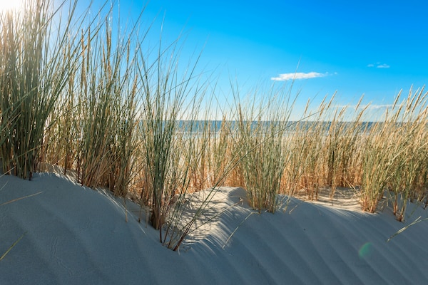 dänemark, urlaubsangebote