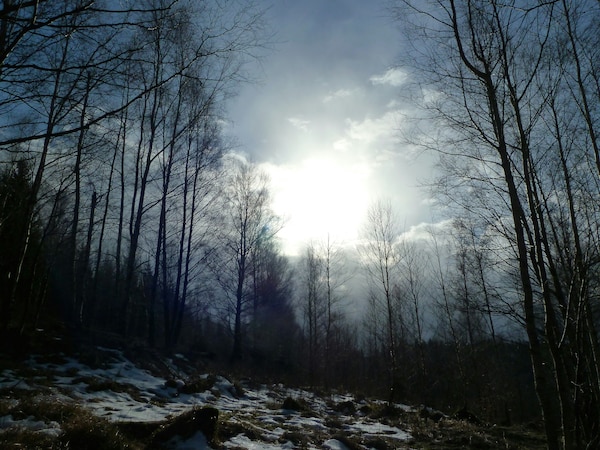 dertour Harz Urlaubsangebot