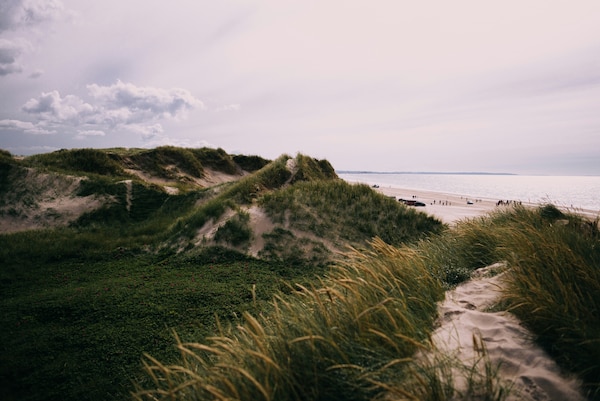 dänemark, urlaubsangebote