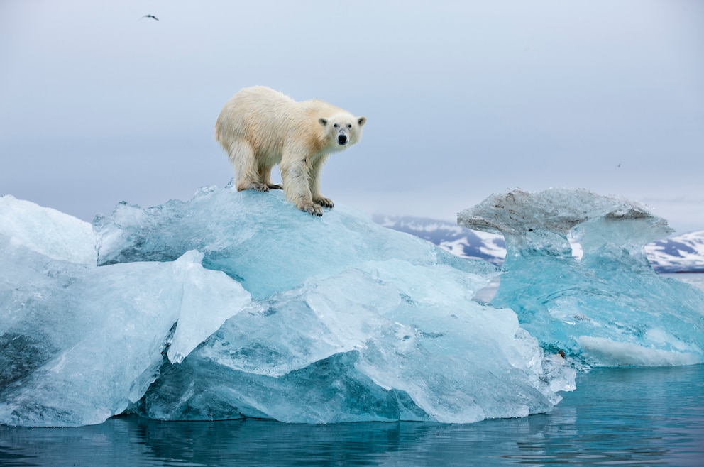 Spitzbergen