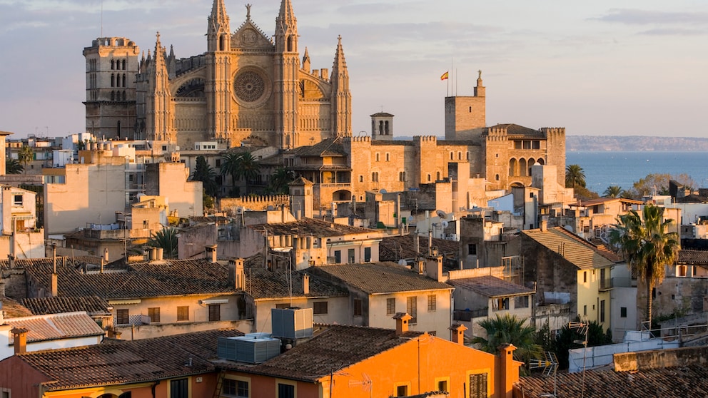 Bußgelder auf Mallorca: Blick auf Palma im Sonnenuntergang mit Kathedrale