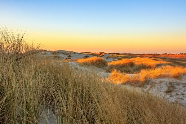 fti, st. peter ording, urlaubsangebote