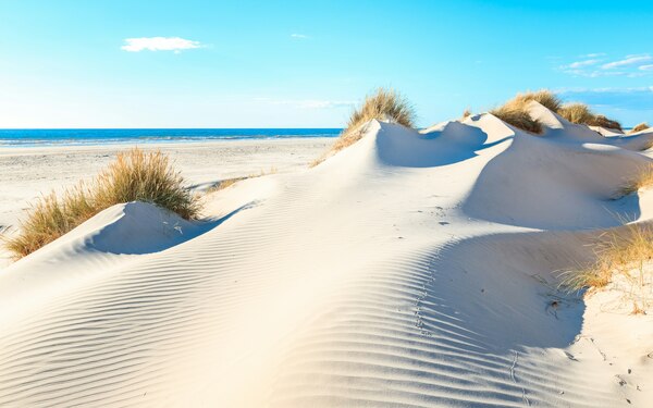 holidu, st. peter ording, urlaubsangebote