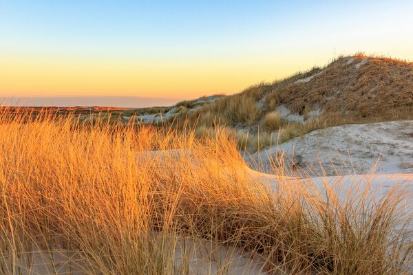 its, st. peter ording, urlaubsangebote