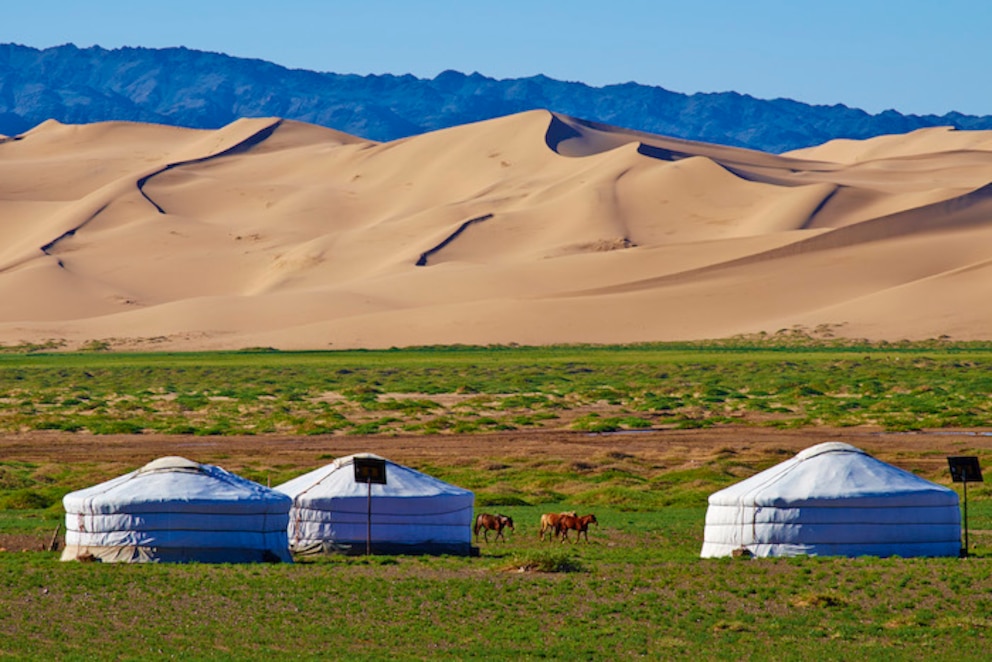 Mongolei: Wüste Gobi und Jurten auf grünem Gras