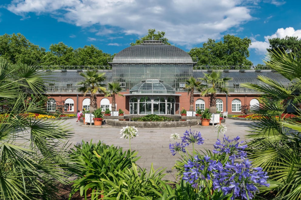 Parks in Germany: Palmengarten in Frankfurt with the Palm House