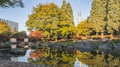 Parks in Deutschland: Blick auf Teich mit Teehaus in Planten un Blomen, Hamburg