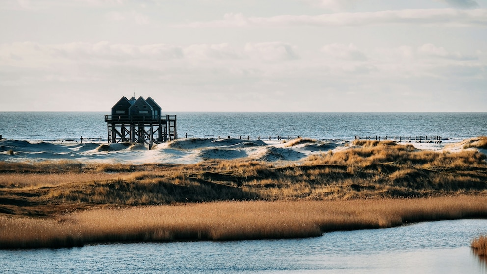 Urlaub in St. Peter-Ording
