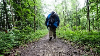 Wanderweg Grünes Band