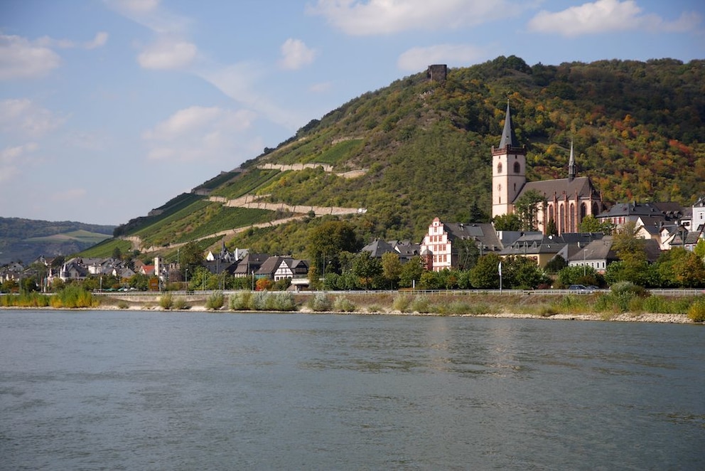 Ausflüge in Rhein-Main: Bei Lorch am Rhein begeistern die Wister Trails Wanderfreunde