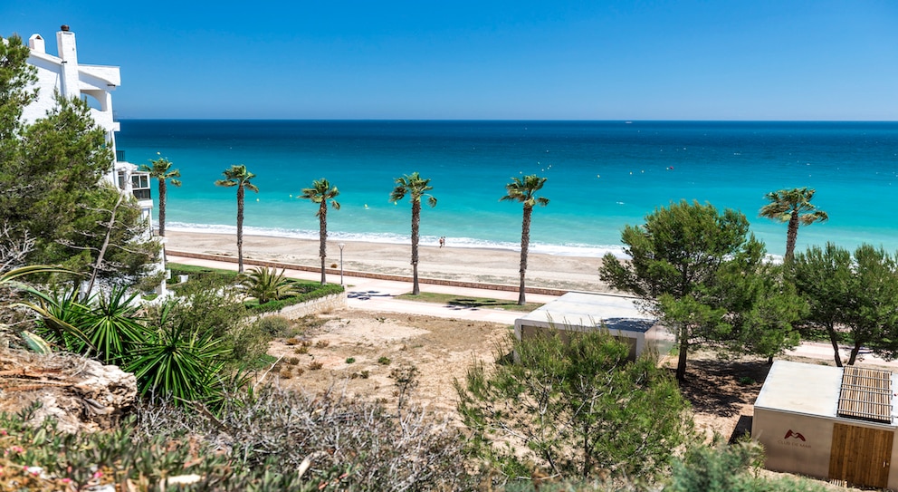 Playa Cristall in Tarragona punktet mit wunderschöner, von Palmen gesäumter Strandpromenade