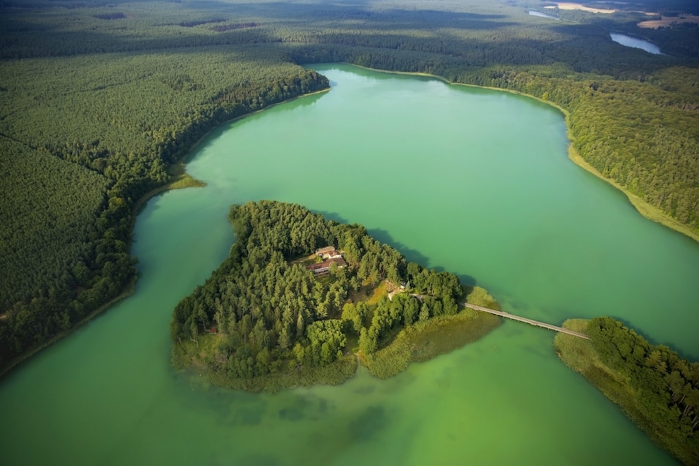 Nature Park Feldberger Seenlandschaft